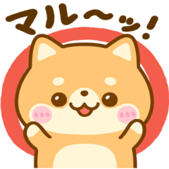 全肯定♡ 豆柴日和