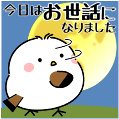 飛び出す！シマエナガの丁寧な敬語