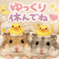 飛び出す♡ハムスター