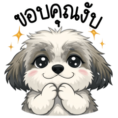 Cookie The Gentle Little Pup