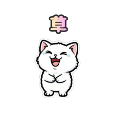 もふもふ白ネコ【JKの日常・第3弾】