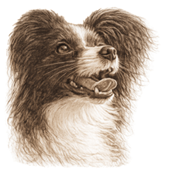 箱入りゆず(セピア)