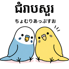 旅するインコ クメール語