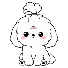 Fluffy Maltese Puppy(she name mindu)