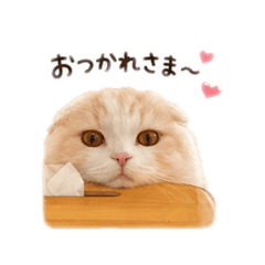 ふも神様1