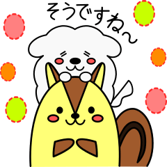 リスぷく&わた犬の日常