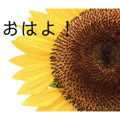 シンプルなお花のスタンプ