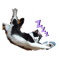 我が家のごまち①