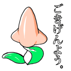 高嶺の鼻子さん。