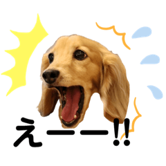 ゆずねとひなのスタンプ