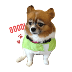 いとしのむーさん