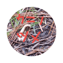 はるやのきのこ