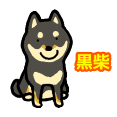 柴犬 黒柴スマイル
