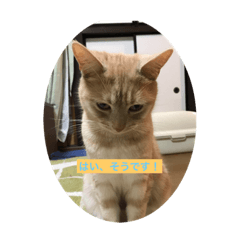 くうあんどりく