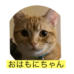 猫と犬のスタンプ！！