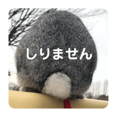 ちくわとほこりの日常スタンプ