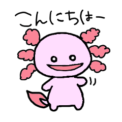 ウーパールーパーのアルとメラ