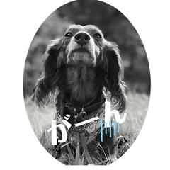 ぼくビスコ！ダックス丸スタンプだよ