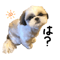 メロちゃんスタンプだよ