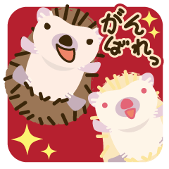 はりねずみだよ。