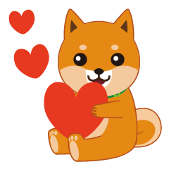 柴犬「ムサシ」３