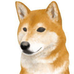 さすが！柴犬（敬語編）