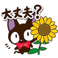 やさしいクロネコ【夏・基本編】