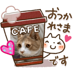 ソラマメのまったり生活