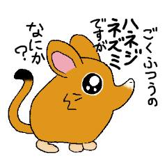 珍獣ハネジネズミ君