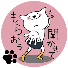 キレてない猫　３。