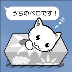 白ねこペロの吹き出しスタンプ