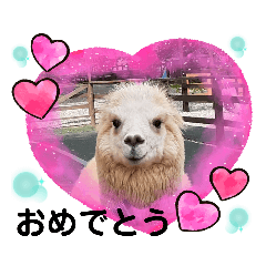 かわいいアルパカさんスタンプ②