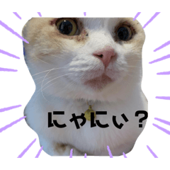 癒しのエヴァンくん