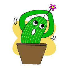 cactus in daily life