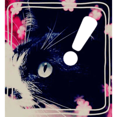 ノワールさんとラヴさん