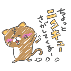 ちょっとニクキュー探してきます。