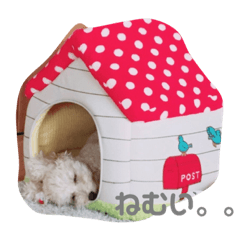 くうちゃんとの日常