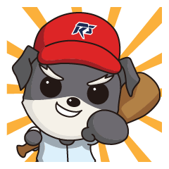 ディの野球日記