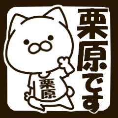 ねこの栗原さん