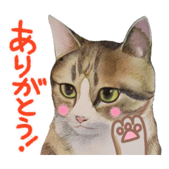 私の猫コネ&ニーナ