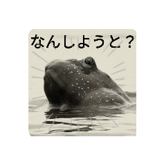 色んな動物の写真スタンプ(博多弁.VER)