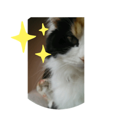 ヴィニェーラさま