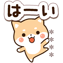 やさしい柴犬【カスタム】