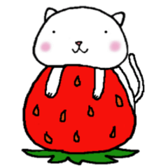 ねこねこナンバー１ 毎日使えるパック２