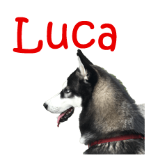 Cute Luca