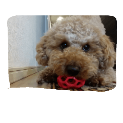 遊びたいなぁ～