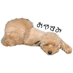 ららちゃンのスタンプ