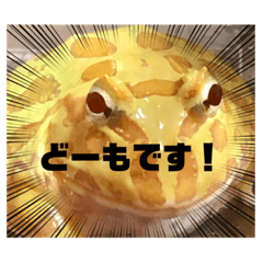 水の生き物シリーズ