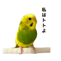 使える！トトスタンプ！