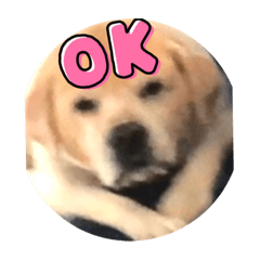 しばくんスタンプ1